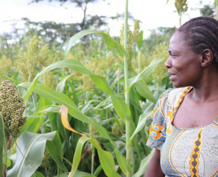 Climate Resilient Farming Gives Communities Hope Amidst the Climate Crisis 